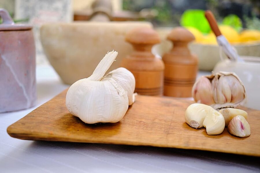 Levanto, Cinque terre: Fresh Pasta and Pesto cooking class - What you’ll take home (besides full stomach energy)