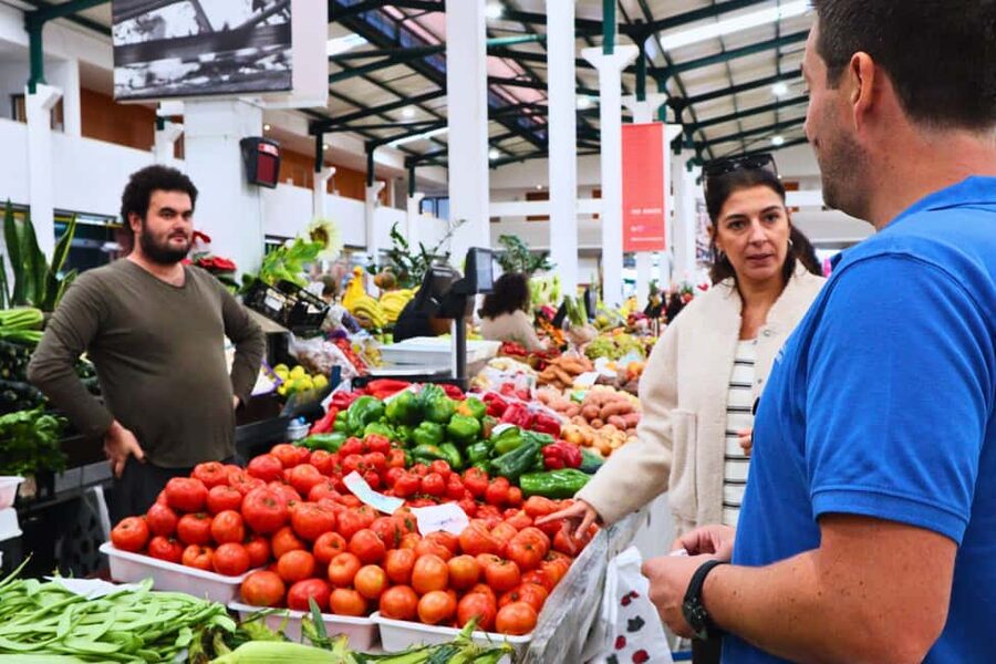 Lisbon: Setúbal Market and Wine tour with Cooking class - Who this tour is best for