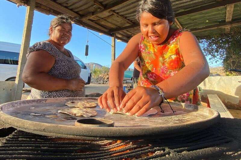 Los Cabos: Azteca Cactus Taco Farm to Table Cooking Class - The nopal harvest class: hands-on learning with a plant that carries meaning