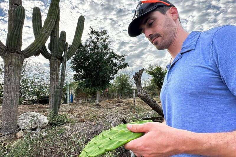 Los Cabos: Azteca Cactus Taco Farm to Table Cooking Class - Who should book this Cabo cactus taco class?