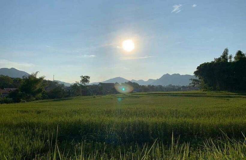 Luang Prabang: Evening Cooking Class & Local Baci Ceremony - Luang Prabang in Four Hours: Market, Cooking, Baci, and Music