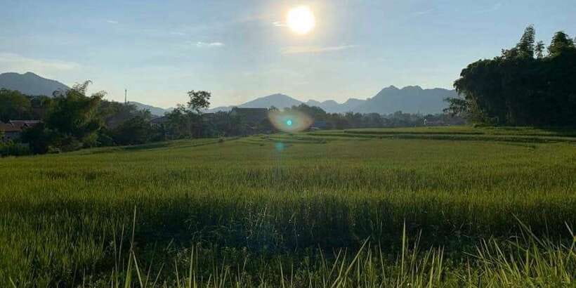 Luang Prabang: Evening Cooking Class & Local Baci Ceremony - Eating Lao Dinner Together Like a Family Meal