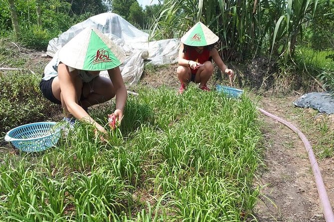 Market to Farm to Table Cooking Class in saigon - Price and Value in Saigon: Is $70 Fair?
