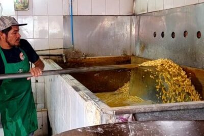 Market Visit and Mexican Cooking Class - Cooking class at a local restaurant: guacamole, tortillas, and enchiladas