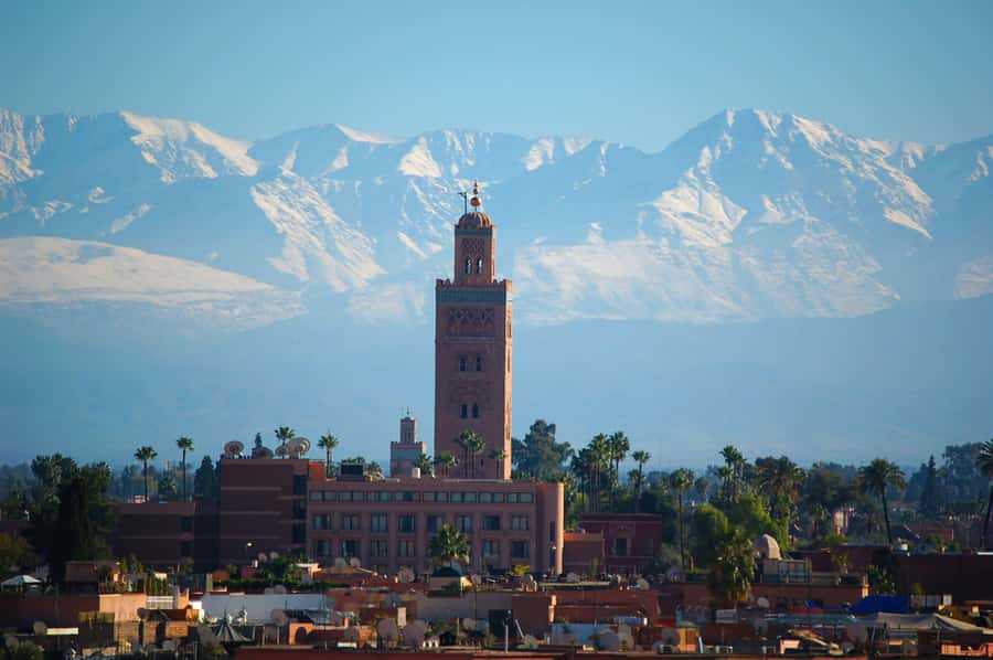 Marrakech: Moroccan Cooking Class with Amazing Local Chef! - The 10:30am start: how the class flows for a stress-free cooking day