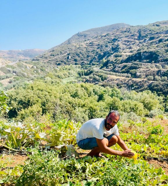 Melanes: Naxos Perivoli Farm & Cooking Class with Wood Fire - Vegetable Garden Picking: From Patch to Plate