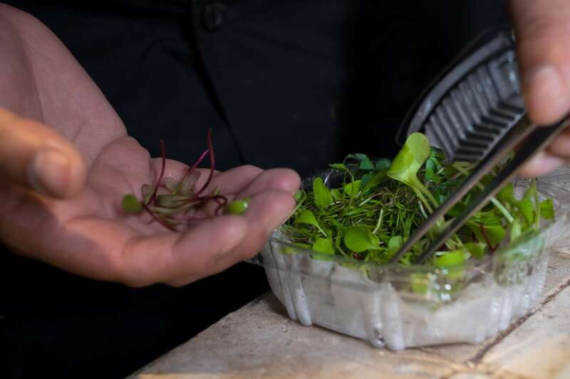 Mexico City: Mexican Cooking Class - Language, pace, and who this class suits best