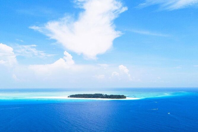 Mnemba Dolphin Tour, Clear Kayak, Cooking Class, Horse Riding - Mnemba Island snorkeling: the reef time you’ll remember