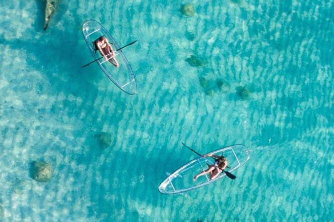 Mnemba Dolphin Tour, Clear Kayak, Cooking Class, Horse Riding - Neptune Pwani Beach horseback riding: short, scenic, and on the coast