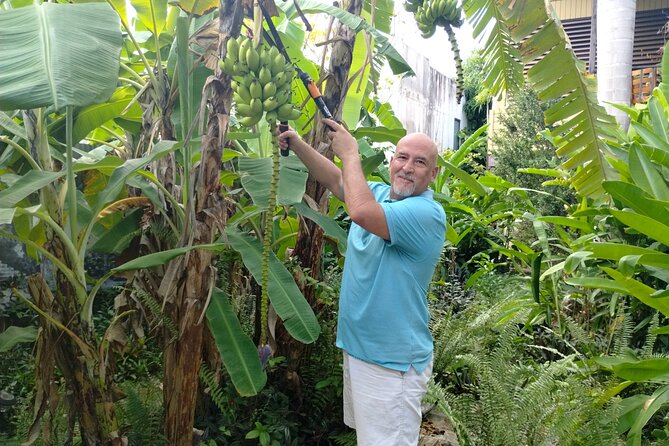 Modern Puerto Rican Cooking Class in a Historic San Germán Home - The Welcome Cocktail and How the Host Works With Your Tastes