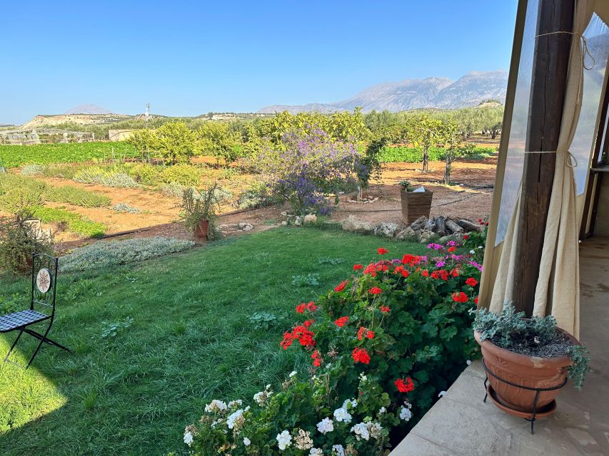 Moires: Cooking Class and Olive Oil Tasting at a Family Farm - What You Take Home: Leftovers, Recipes, and Farm Flavor for Days