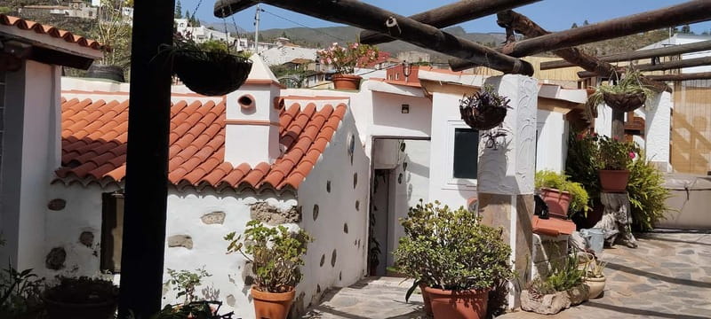 Mojo Workshop Cooking Class in Ancient Canarian Village - Key highlights at a glance