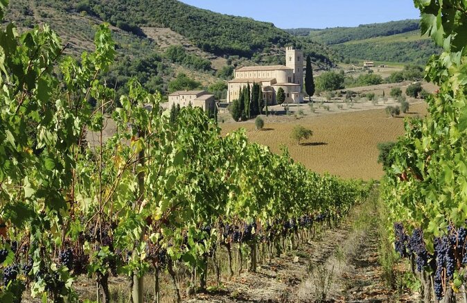 Montalcino Cooking Class and lunch with the local lady - Key things to know before you go
