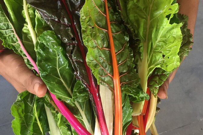 Montreal Cooking Class & Wine Tasting with Michelin Chef Robert - Dietary needs, allergies, and families: what’s supported