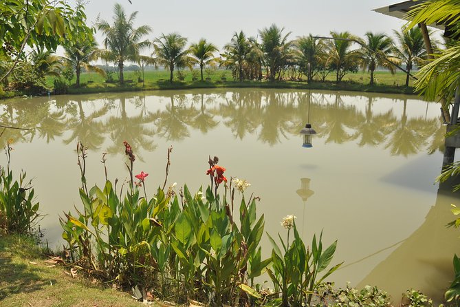 Morning Cooking Class in Organic Farm with Local Market Tour - What You’ll Learn: Thai Cooking Basics You Can Reuse