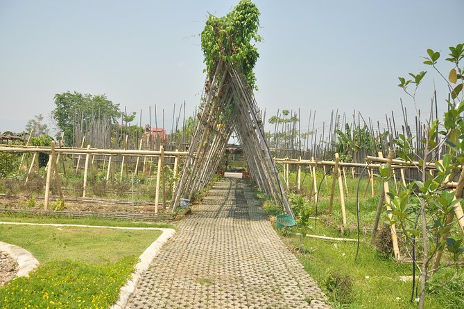 Morning Cooking Class in Organic Farm with Local Market Tour - Price and Value: Is $29 a Good Deal?