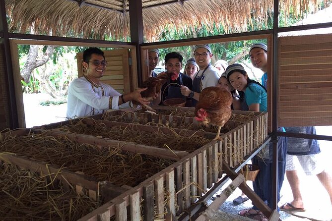 Morning Cooking Class in Traditional Pavilion with Beautiful Garden - Chiang Mai - Who This Morning Class Is Best For