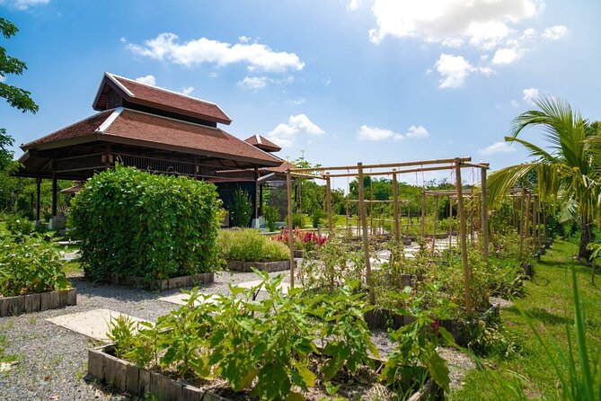 Morning Thai Cooking with Grandma - Market Visit & Farm Tour - The recipes you take home: e-book access and what it helps with