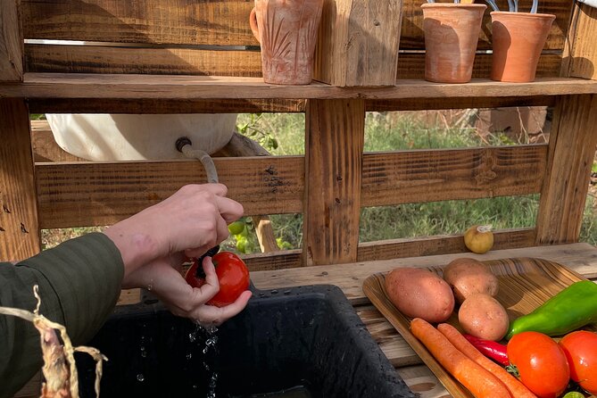 Moroccan Cooking Class and Eco-Farm Visit - Full day - The 11:00 to 16:30 Schedule, Without the Rush