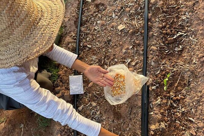 Moroccan Cooking Class and Eco-Farm Visit - Full day - Tea Time Ends the Day Like a Real Moroccan Moment