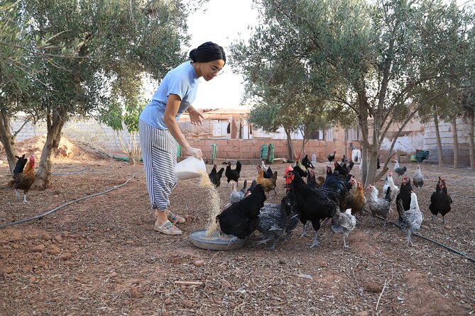 Moroccan Cooking Class and Eco-Farm Visit - Full day - Price and Value: Why $48 Works Here