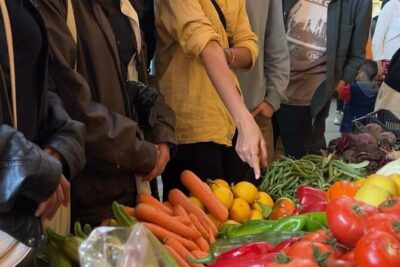 Moroccan Cooking Class at a Riad in Fez - Price and Logistics in Fez: What $58.73 Really Buys You