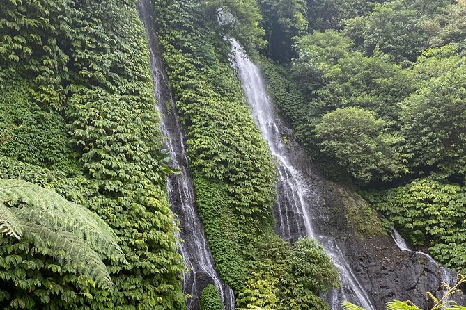 Munduk:authentic local Home cooking class - Should you book this Munduk cooking + waterfalls combo?