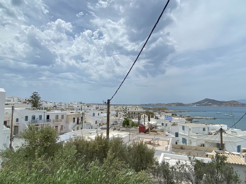 Naxos: Food Walking Tour & Cooking Class with Meal & Drinks - Market stop: choosing seasonal ingredients you’ll actually cook