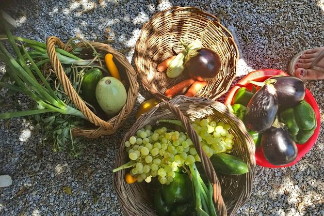 Naxos:Half-day cooking class at Basiliko - The cooking lesson: herbs, aromatic plants, and practical technique