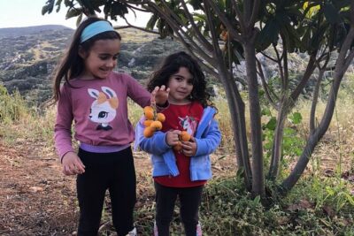 Naxos Perivoli Farm Experience & Wood-fire Cooking Class - The Farm Walk: Eggs, Animals, Olive Groves, and Naxian Crops