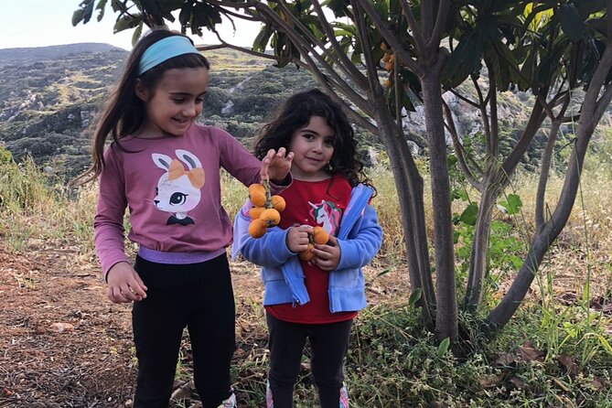 Naxos Perivoli Farm Experience & Wood-fire Cooking Class - The Farm Walk: Eggs, Animals, Olive Groves, and Naxian Crops
