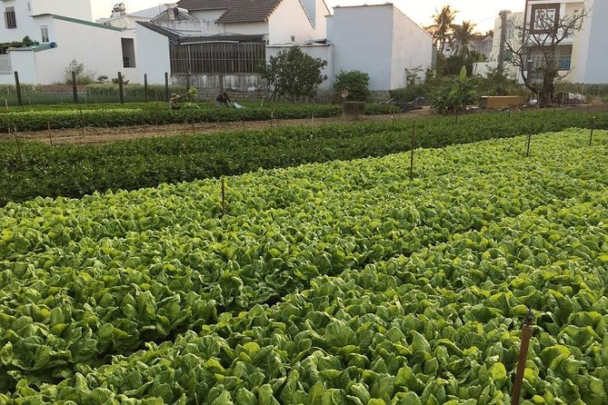 Nha Trang Cooking Class (visiting local market & countryside) - Garden and local home moments that go beyond the stove