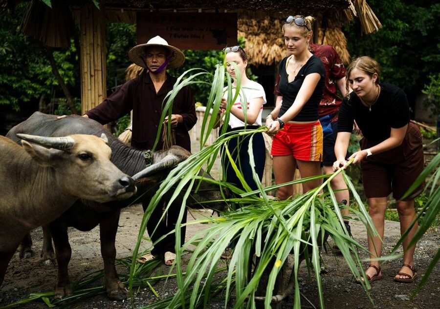 Ninh Binh cooking class at Buffalo Cave - Who This Fits Best (and Who Might Want Something Else)