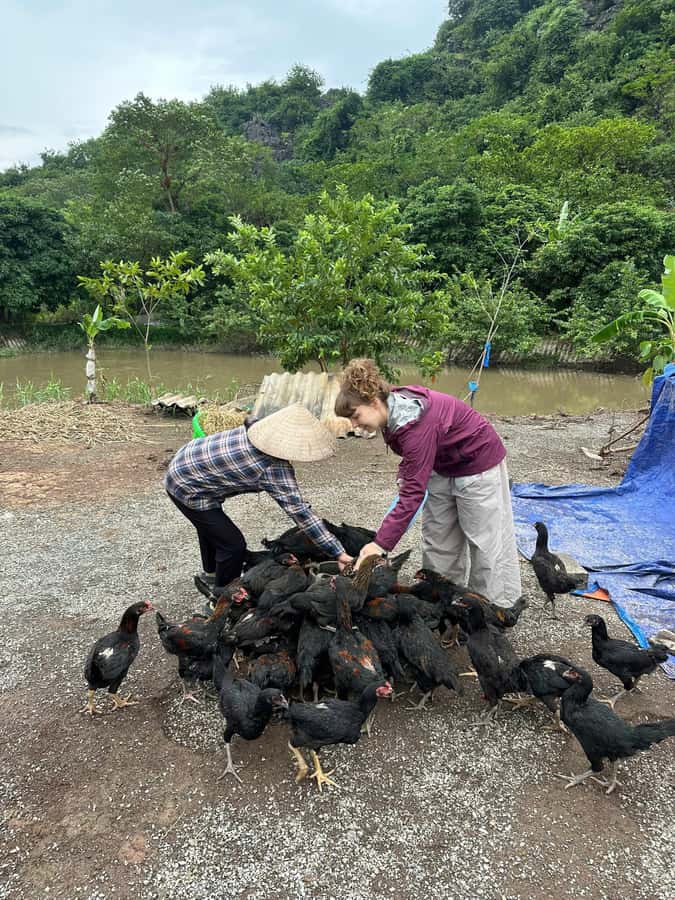 Ninh Binh: Half-Day Cooking Class at a Local Home - Key Highlights You’ll Feel from the Start