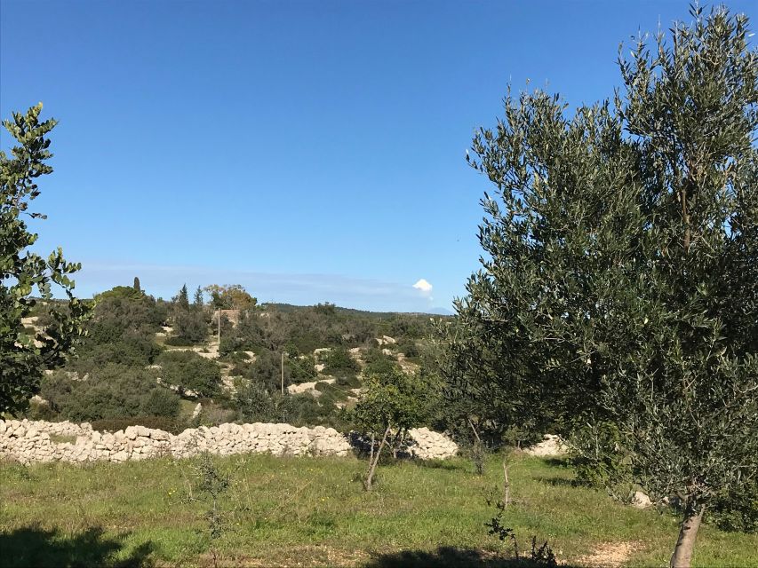 Noto: Farm to Fork in Sicily - Cooking Class in a Farm - Price and Value: What $169.93 Buys You Here