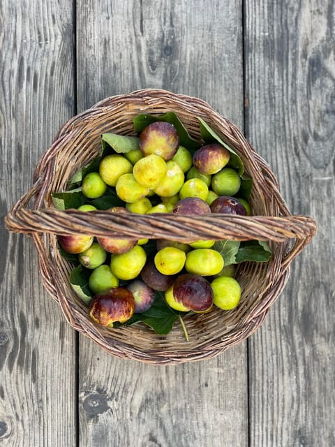Noto: Farm to Fork in Sicily - Cooking Class in a Farm - Timing, Location, and Getting There Without Stress
