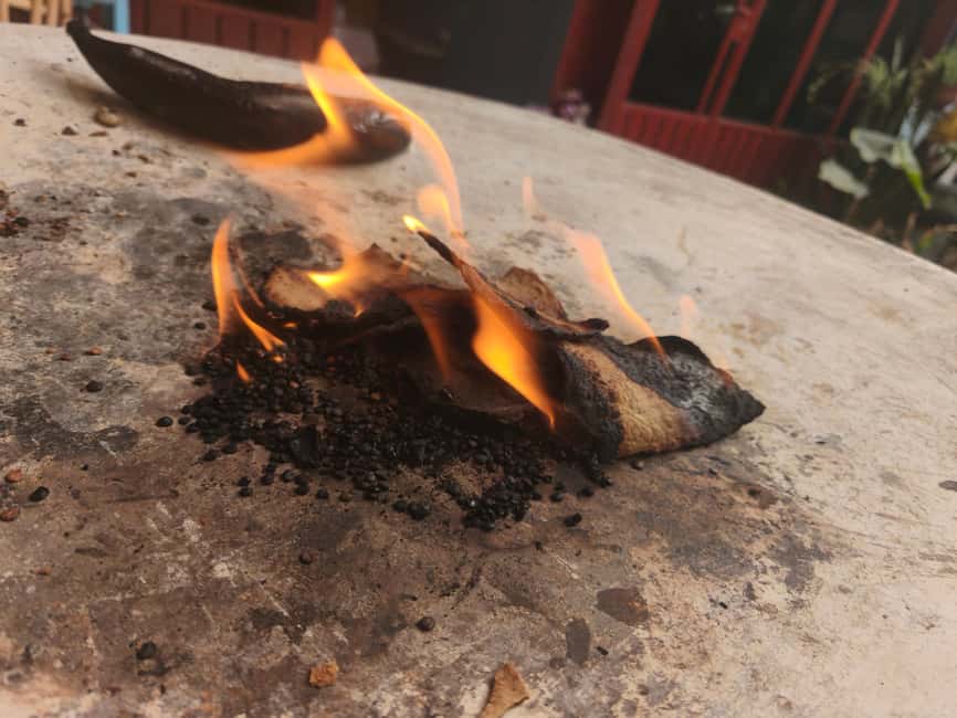 Oaxaca: Traditional Oaxacan Cooking Class - Price and value: what you pay for at $116 per person