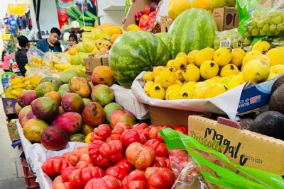 Oaxacan Vegetarian Cooking Class - Market Time and Ingredient Sourcing: Organic Producers and a Neighborhood Mercado