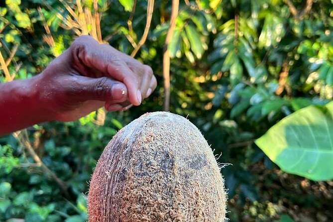 Organic cooking class sigiriya (kumara & family) - Price, timing, and what you’ll realistically get for $28