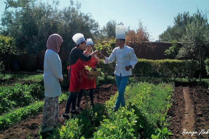 Organic Moroccan Cooking Class At Secret Berber Garden CT - Price and Value: Does $69.79 Really Add Up?