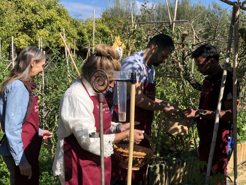 Paciano: Organic Cooking Class at a Farm with Lunch & Wine - Logistics in plain language: where you go and how to plan