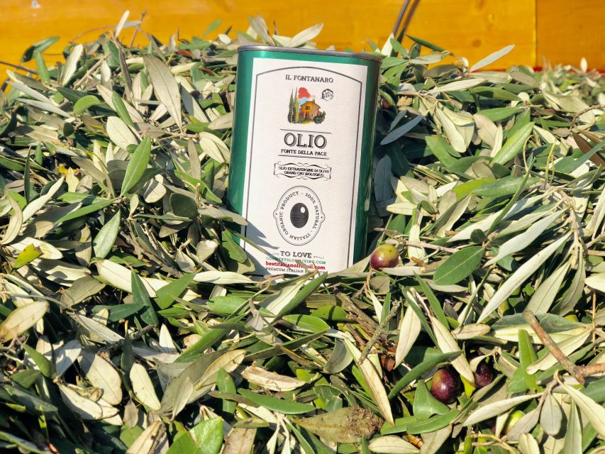 Paciano: Organic Cooking Class at a Farm with Lunch & Wine - Take-home leftovers: extending the meal into your own dinner