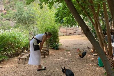 Paella Day Cooking Class Savor the Tradition - Patri’s Home Table: sangria, local appetizers, and the animal cast