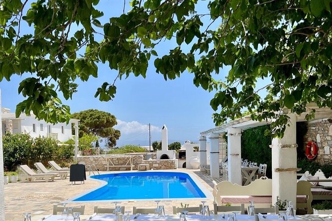 Paros: Cooking Class with Greek Meal & Wine - Who This Cooking Class Fits Best