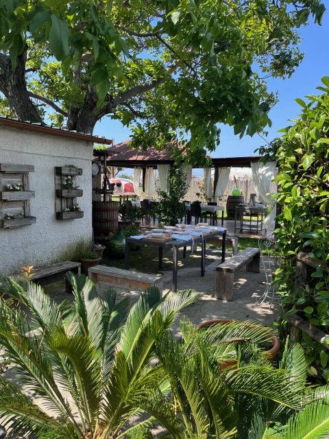 Pasta Cooking Class in a Garden near Pompeii - Inside the Kitchen: Handmade Pasta Lessons the Traditional Way