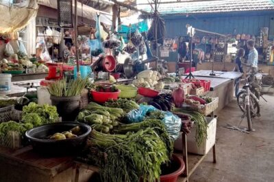 Phnom Penh’s Hands-On Khmer Cooking Class in the Countryside - Meeting Sophors and getting the small-group attention