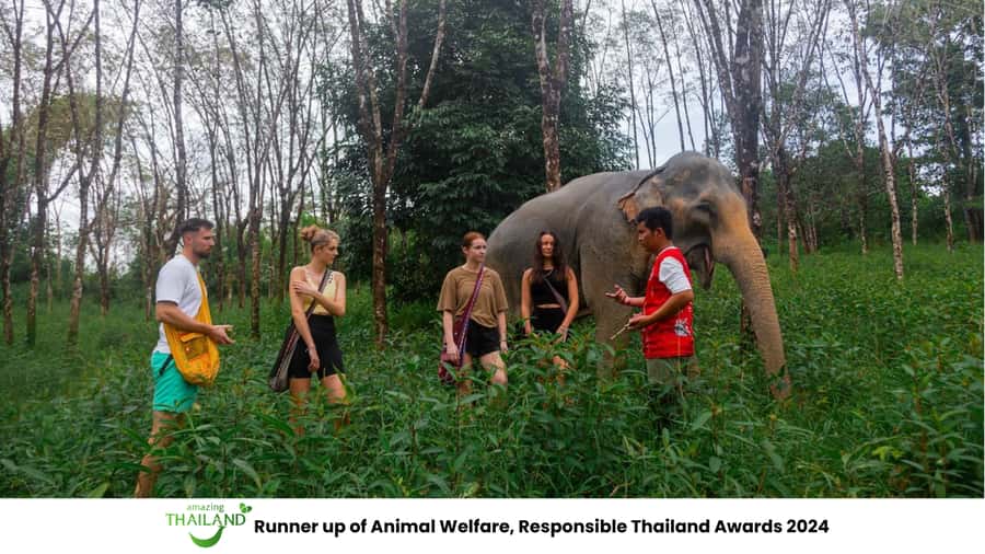 Phuket: Elephant Sanctuary Tour, Cooking Class & Lunch - Key highlights worth your attention