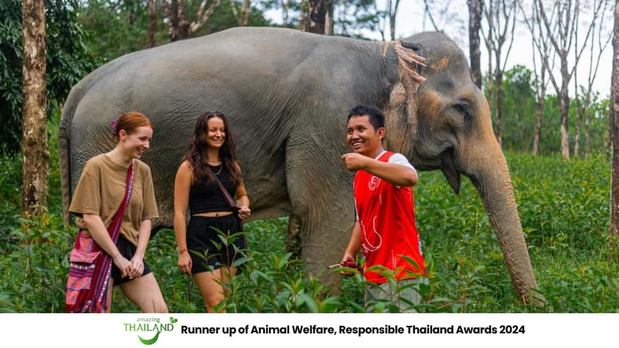Phuket: Elephant Sanctuary Tour, Cooking Class & Lunch - Khao Lak pickup and the long-ride reality from Phuket