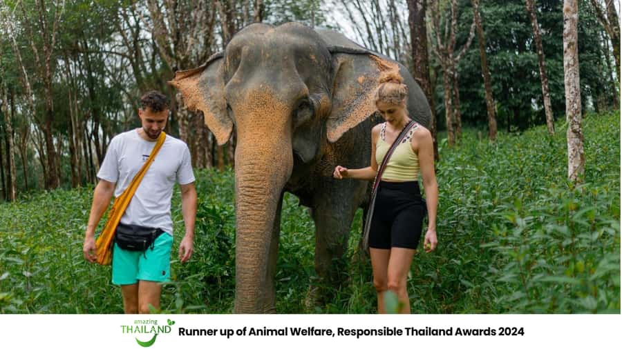 Phuket: Elephant Sanctuary Tour, Cooking Class & Lunch - River-bathing rituals at the elephant reserve: the best kind of up-close