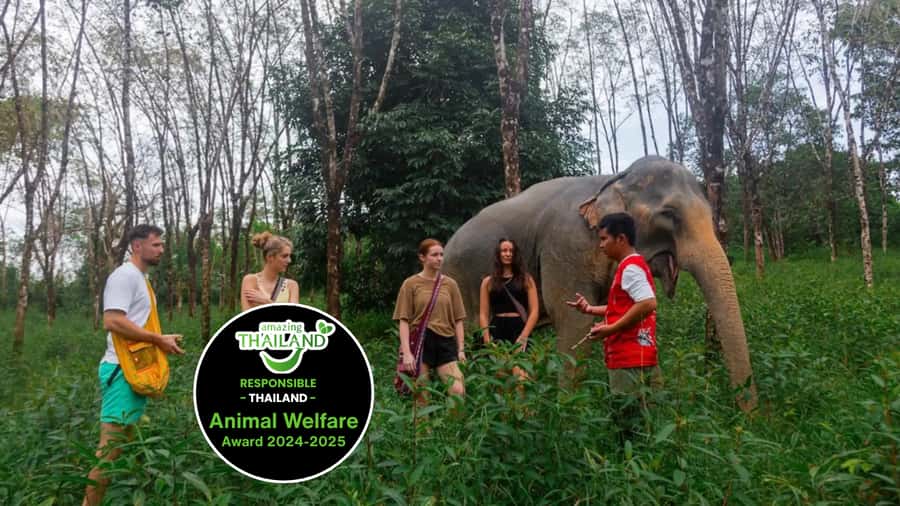 Phuket: Elephant Sanctuary Tour, Cooking Class & Lunch - Entering Khao Lak Ethical Elephant Sanctuary: how the day is managed